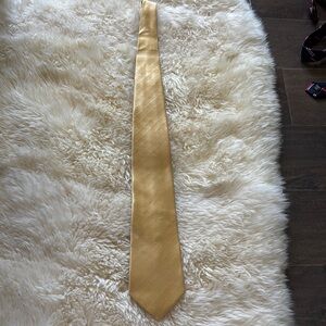 Elegant Gold Necktie
